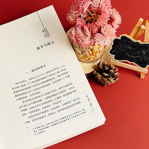 教育自传 第三版 大夏书系 教育随笔 刘良华教授成长史 中小学教师校长 教育理论 商品图4