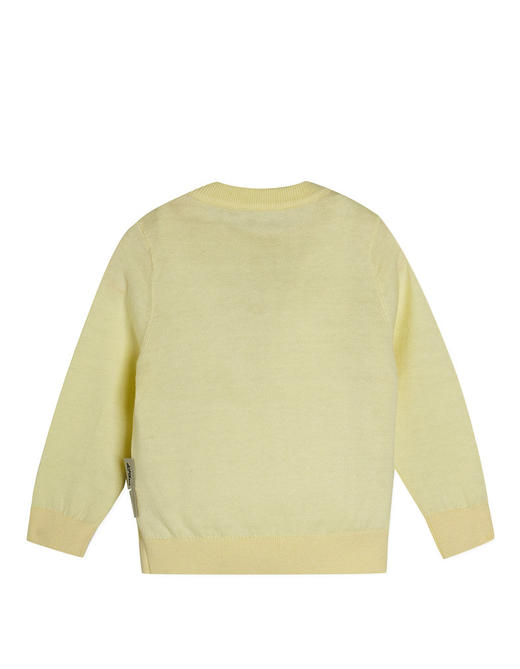 jnby  24年春款  长袖套头针织衫   YO2310060 商品图8