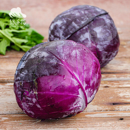 生态紫甘蓝 | 绿家自产*ecological cabbage | Self-production 商品图0