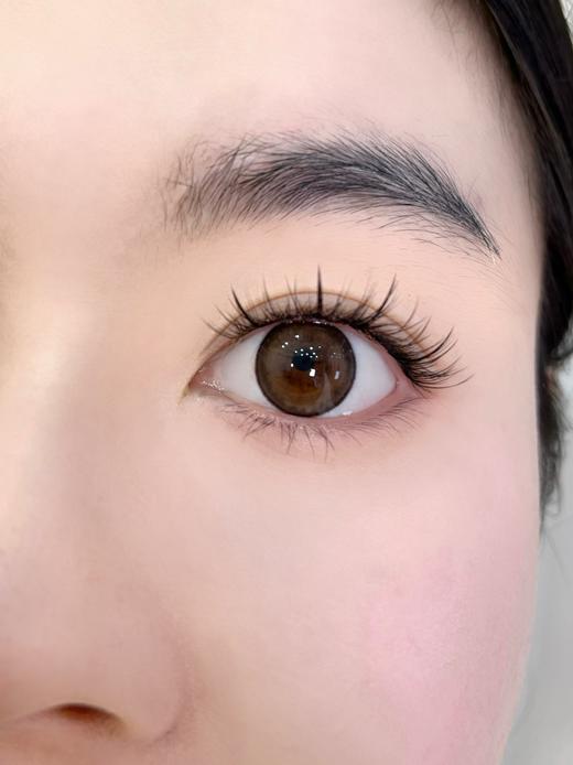 Gugucon半年抛·土豆泥派对·14.5mm中大着色·韩产2片 商品图11