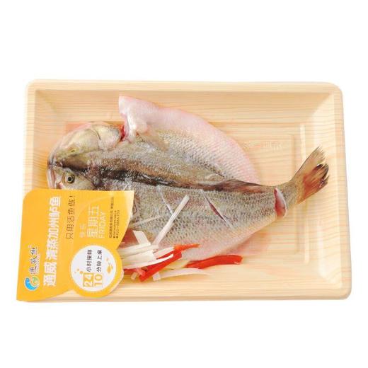 通威清蒸鲈鱼    约400-500g/条【半成品—需加熟食用】 商品图3