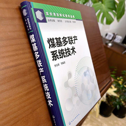 煤基多联产系统技术--煤炭清洁转化技术丛书 商品图6