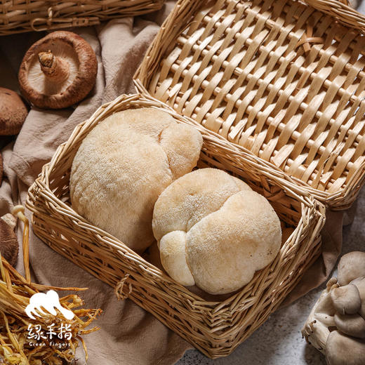 生态鲜猴头菇 | 绿家自产 * Ecological mushroom | Self-production 商品图0