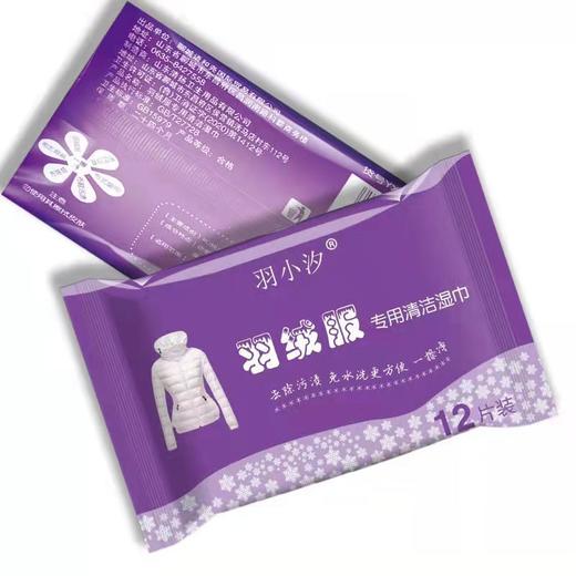 「拍1发3！拍2发10」羽小汐羽绒服清洁湿巾 居家日用去污免水洗无痕不伤衣便携小包12片清洁工具 商品图2