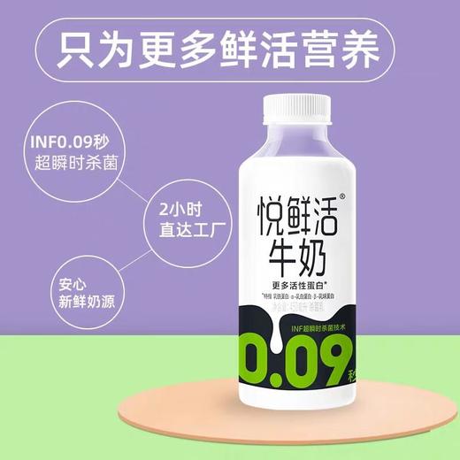 君乐宝悦鲜活鲜牛奶450ml（瓶） 商品图3