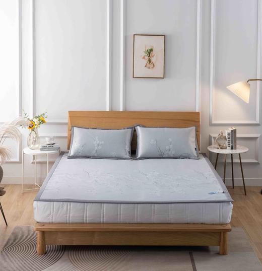 【远梦】可水洗沁凉席三件套 商品图0