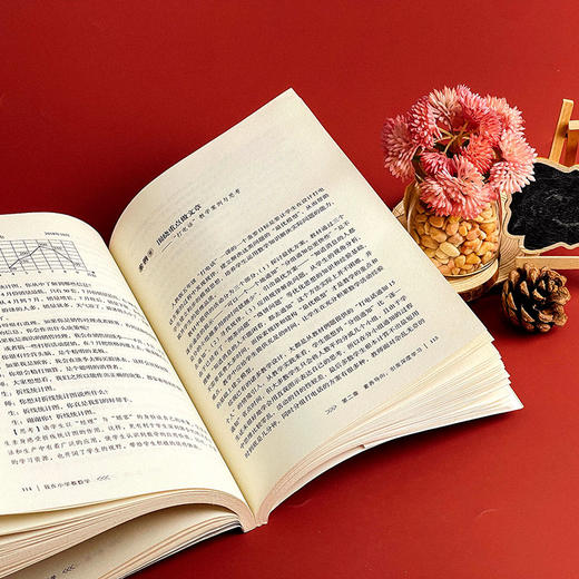 我在小学教数学 素养导向的数学教学艺术 牛献礼 大夏书系 数学教学培训用书 教学参考书 商品图8