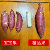 特惠活动『桥头地瓜5斤小果』宝宝果体型较小，新鲜采挖，粉糯细腻，红薯界的爱马仕 商品缩略图4
