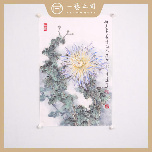 叶泉 2.7平尺竖屏 花鸟画原作 47x68CM 《耐久黄花是故人》《倾国佳人》手绘纸本宣纸国画作品 本期直播特供2张，优惠售完即止！[现货包邮] 商品图1