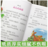 小鹿斑比 彩图注音版 小学生一二三年级6-7-8-9岁课外阅读书籍世界经典儿童文学少儿名著童话故事书 商品缩略图1