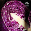 生态紫甘蓝 | 绿家自产*ecological cabbage | Self-production 商品缩略图1