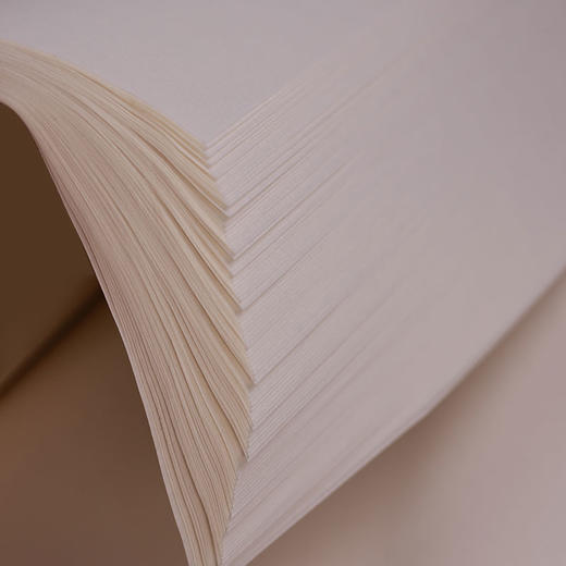 【庆学堂】楷书/篆隶/行草专用纸  书法专用宣纸 四尺整张 半生熟  100张/包 商品图4