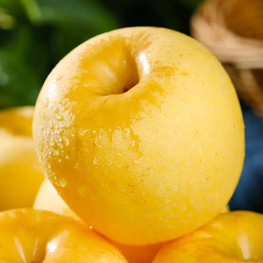 维纳斯黄金富士（礼盒） 商品图3