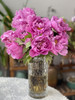 【精品牡丹盆栽/切花】🌺◽️富贵满堂◽️国色天香，花开时节动京城✨！ ✅红色 | 粉色 | 紫色 | 三色可选 ✅鲜切花+盆栽，均可选购 商品缩略图8