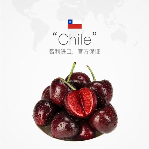 智利车厘子4J礼盒 10斤装 商品图2