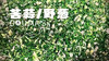 六枝豆沙粑（5个/份） 商品缩略图3