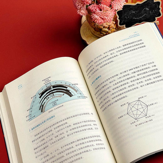 新高考 新方案 大夏书系 教育新思考 凌宗伟 选科指导 走班教学 教学转型 学生生涯规划 职业体验活动指导 华东师范大学出版社 商品图8