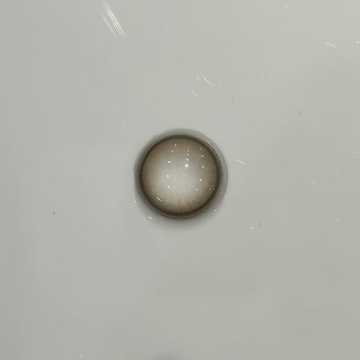 Cherrybee旗下 |  吉利丁&水孖孖棕  14.2mm日抛2片试戴装 商品图1