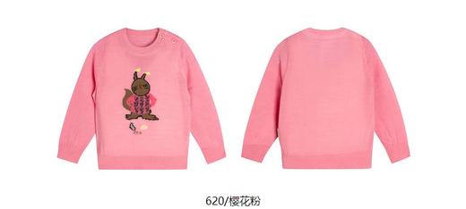 jnby  24年春款  长袖套头针织衫   YO2310060 商品图10