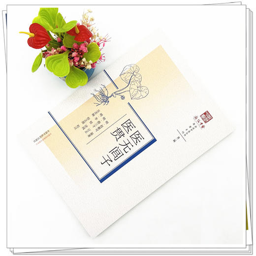 医无闾子医贯 明.赵献可 纂著 中国中医药出版社 浙派中医丛书原著系列 第二辑 临床 书籍 商品图1