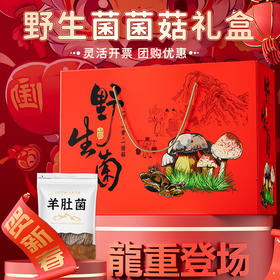 在菌屋 野生菌菌菇年货礼盒 488g