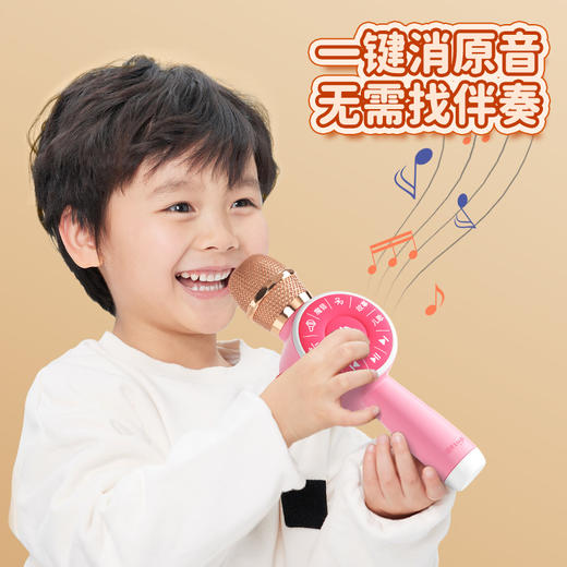 无线儿童话筒音响一体回声麦克风早教唱歌机宝宝小女孩玩具卡拉ok 商品图2