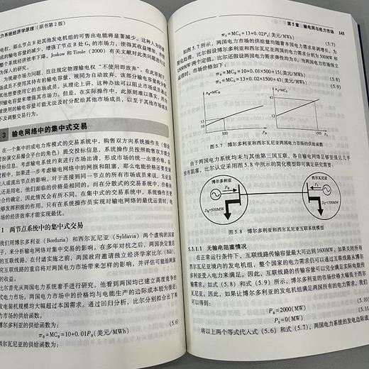 电力系统经济学原理 原书第2版 电力系统经济学和电力市场基础知识 商品图4