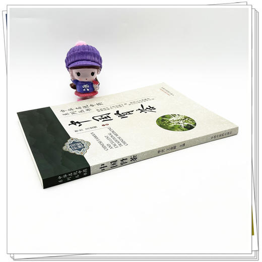 中国肾茶 李光 王金辉 主编 中国中医药出版社 中华名优中药系列丛书 商品图2