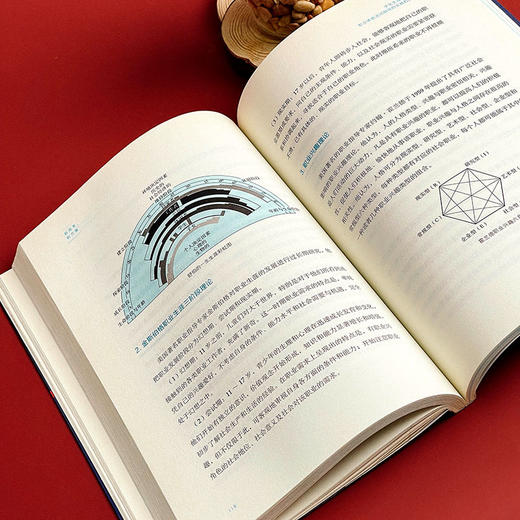 新高考 新方案 大夏书系 教育新思考 凌宗伟 选科指导 走班教学 教学转型 学生生涯规划 职业体验活动指导 华东师范大学出版社 商品图7