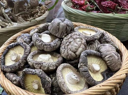 【精品干货合集】  包含鹿茸菇 、 花面香菇、东北木耳等； 商品图5