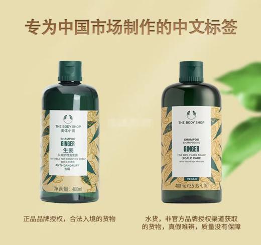 【TheBodyshop美体小铺生姜洗发水&护发素】富含姜汁等天然头皮护理成分，控油去屑，超适合油细软发质！祛风驱寒，经期、产期、孕期放心用 商品图2