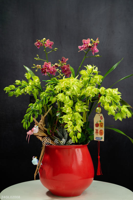 24GL02008 商品图0