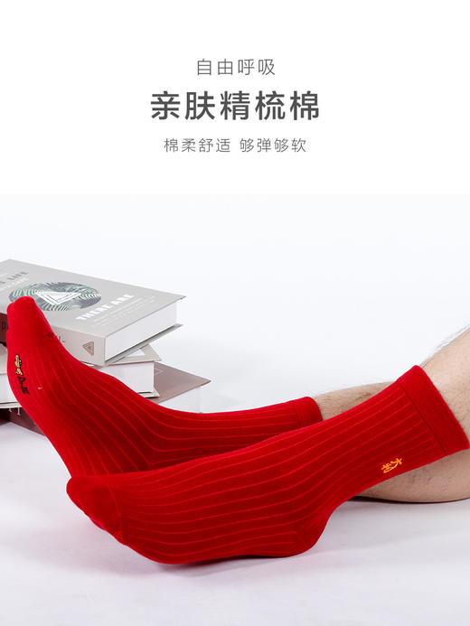足装秀新品秋冬男棉红袜子刺绣红运本命年新年喜庆节日中长邦男袜 商品图2