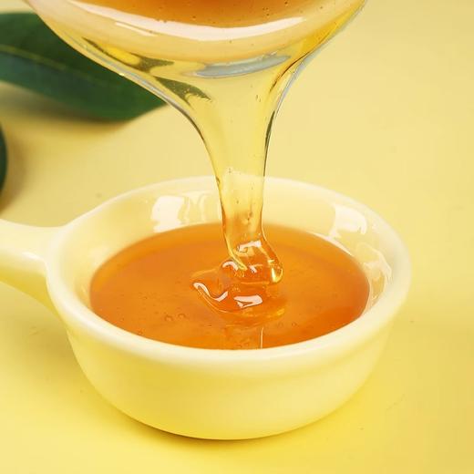 原装进口澳洲神奇农场绿色纯天然蜂蜜无添加野生蜂蜜早餐搭档瓶装 商品图3