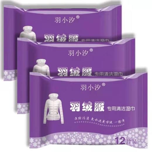「拍1发3！拍2发10」羽小汐羽绒服清洁湿巾 居家日用去污免水洗无痕不伤衣便携小包12片清洁工具 商品图3