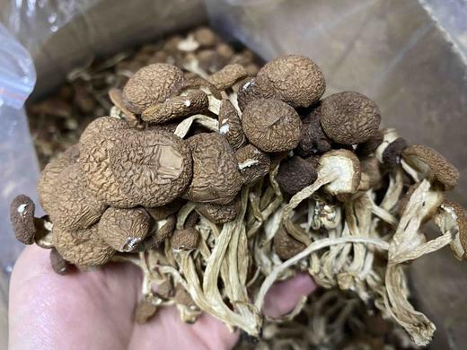 【精品干货合集】  包含鹿茸菇 、 花面香菇、东北木耳等； 商品图1