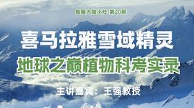 喜马拉雅雪域精灵，地球之巅植物科考实录【鱼圈大咖小灶·第20期】