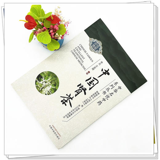 中国肾茶 李光 王金辉 主编 中国中医药出版社 中华名优中药系列丛书 商品图1