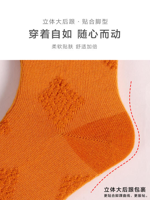 足装秀女新款秋冬丝光羊毛保暖柔软反织工艺纯色长筒百搭春季女袜 商品图4