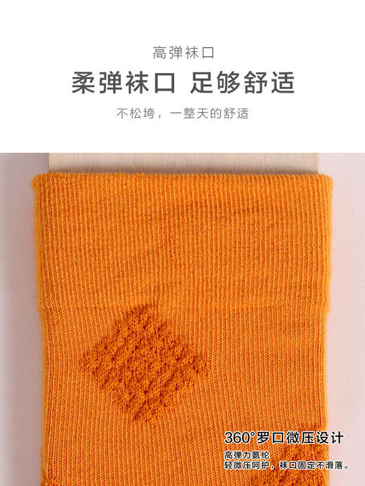 足装秀女新款秋冬丝光羊毛保暖柔软反织工艺纯色长筒百搭春季女袜 商品图5