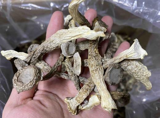 【精品干货合集】  包含鹿茸菇 、 花面香菇、东北木耳等； 商品图2