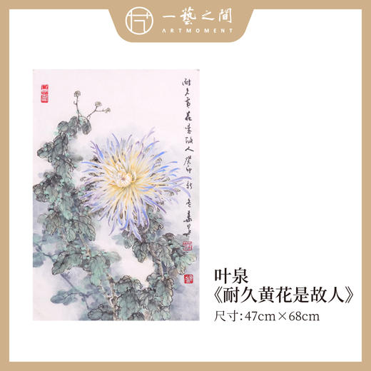 叶泉 2.7平尺竖屏 花鸟画原作 47x68CM 《耐久黄花是故人》《倾国佳人》手绘纸本宣纸国画作品 本期直播特供2张，优惠售完即止！[现货包邮] 商品图0