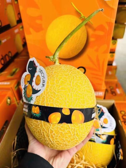 阳光恐龙蛋哈密瓜一箱 商品图2