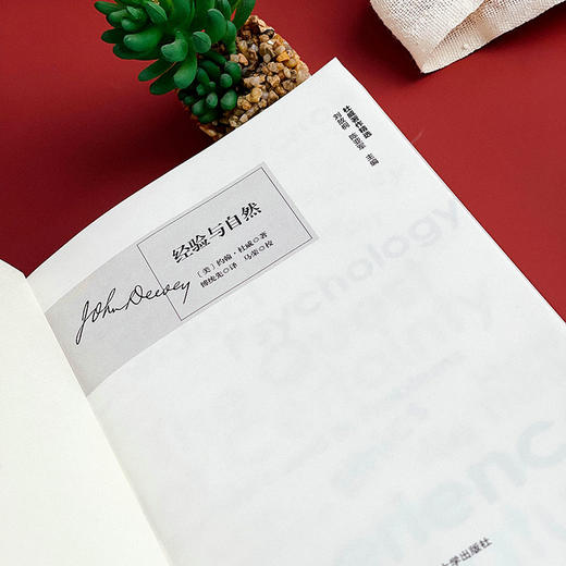 经验与自然 杜威著作精选 自然主义的经验论 商品图11