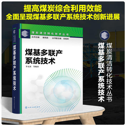 煤基多联产系统技术--煤炭清洁转化技术丛书 商品图0