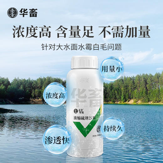 华畜硫醚沙星水产养殖水霉病专治鱼药水霉清白毛病烂身烂尾水霉净 商品图6