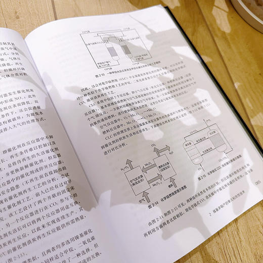 煤基多联产系统技术--煤炭清洁转化技术丛书 商品图9