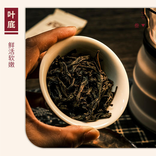 【山纯限品】（2024年）004慧苑坑大竹湾·老枞水仙17g 商品图4