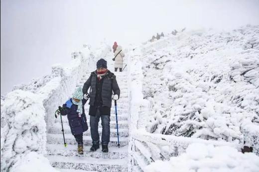 户外@【冰雪云冰山】云冰山看雪景/赏冰挂/观云海打卡冰雪世界1天 商品图4