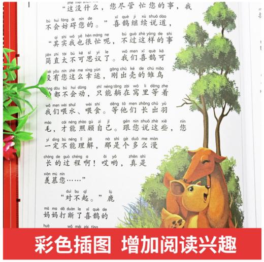 小鹿斑比 彩图注音版 小学生一二三年级6-7-8-9岁课外阅读书籍世界经典儿童文学少儿名著童话故事书 商品图3